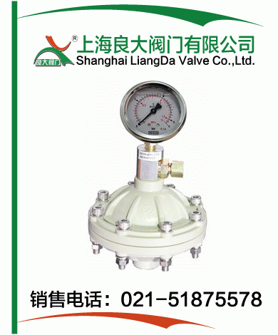 PP、PVDF脈沖阻尼器